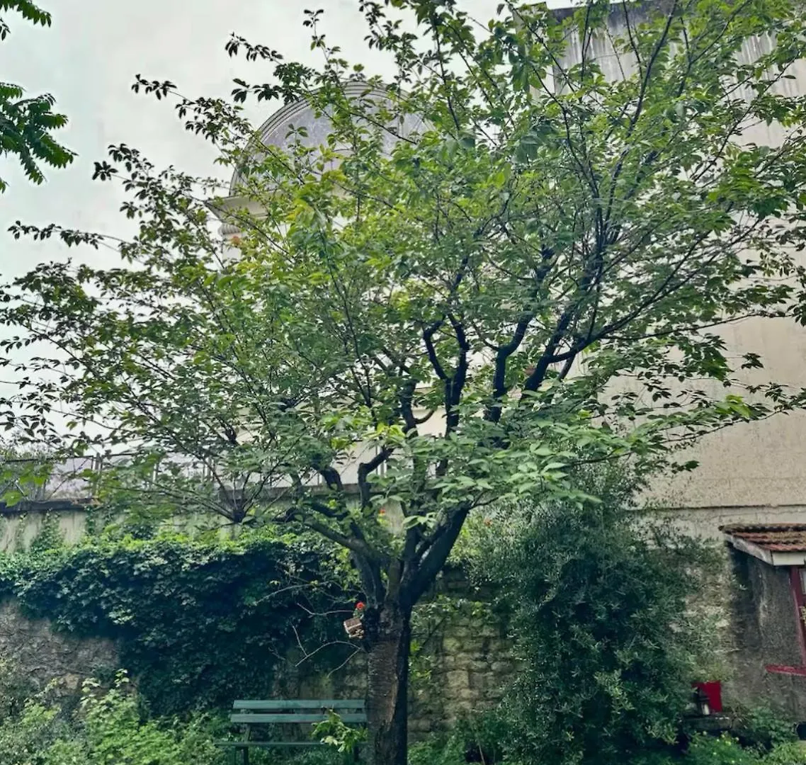 Montmartre Hidden Artist Loft Apartment Paris